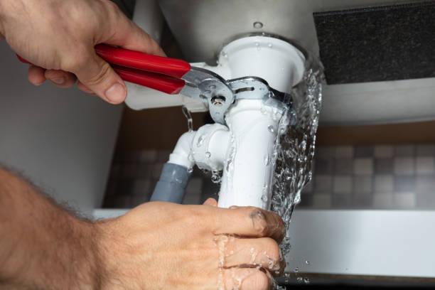 Best Basement water damage restoration  in Tlassee, AL