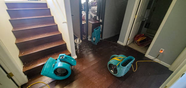 Best Flood damage cleanup  in Tlassee, AL