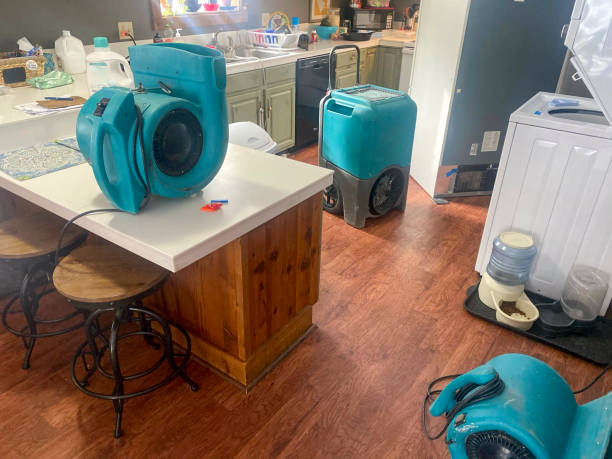 Best Commercial water damage restoration  in Tlassee, AL