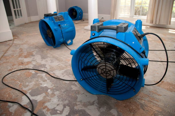 Best Water damage restoration near me  in Tlassee, AL