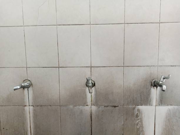 Best Residential water damage restoration  in Tlassee, AL