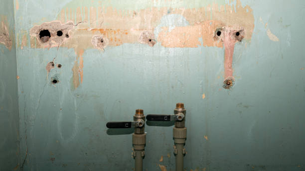 Best Ceiling water damage repair  in Tlassee, AL